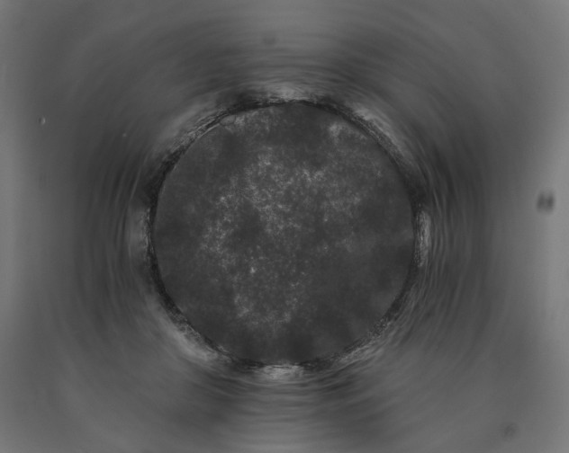 X0000090720410200708031505