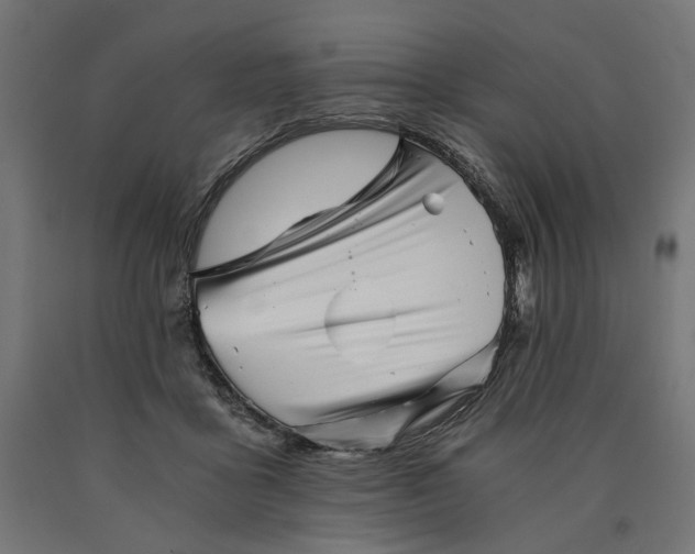 X0000090720411200708031505