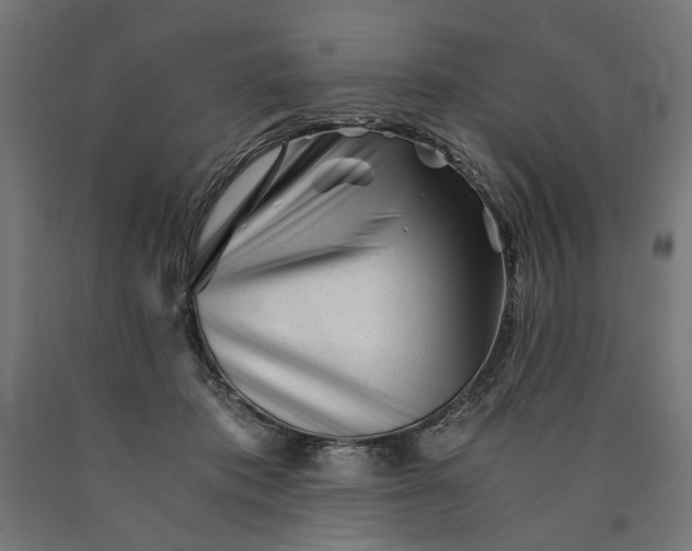 X0000090720413200708031505