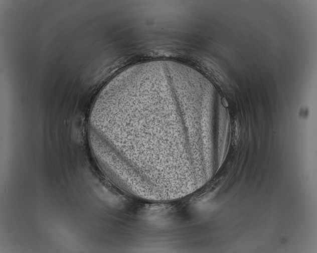 X0000090720414200708031505