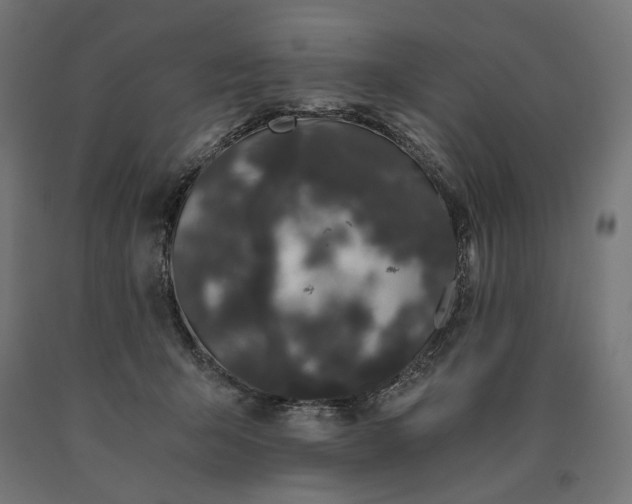 X0000090720415200708031505