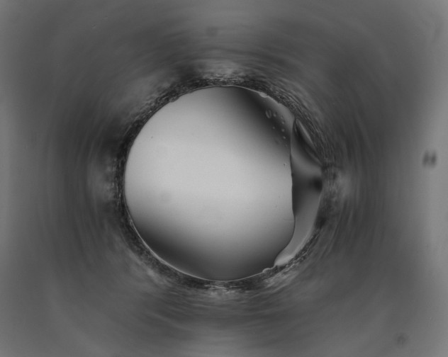 X0000090720416200708031505