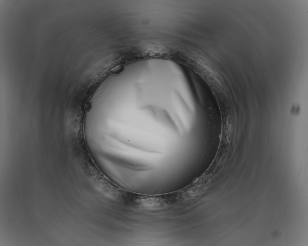 X0000090720417200708031505