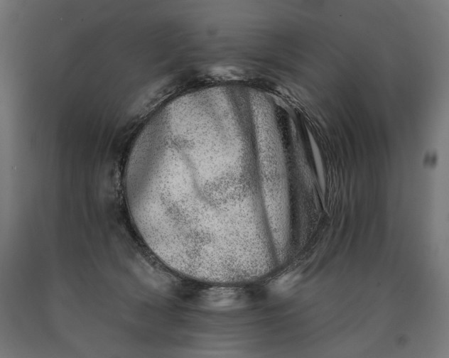 X0000090720418200708031505