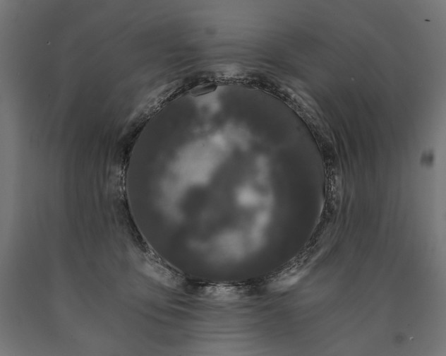 X0000090720419200708031505