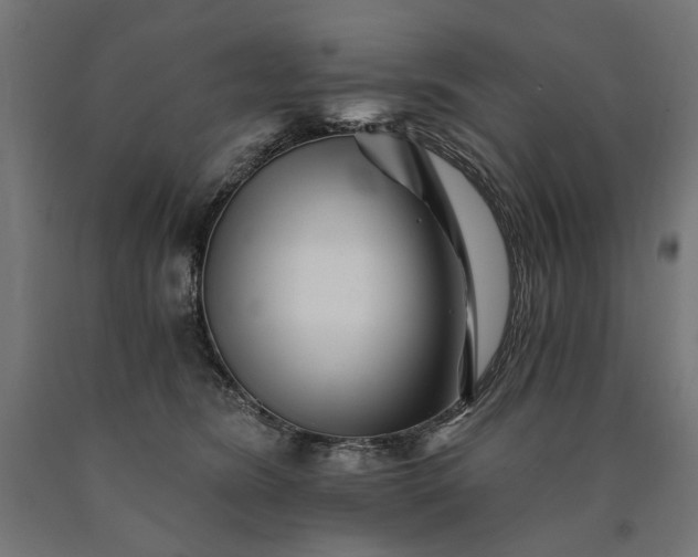 X0000090720420200708031505