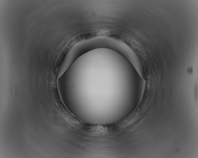 X0000090720421200708031505
