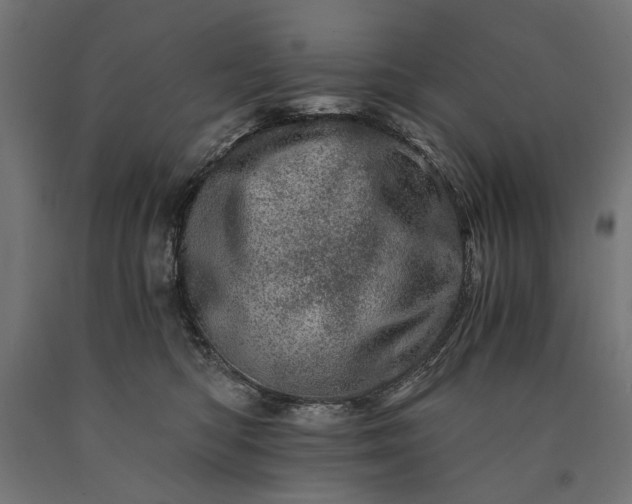 X0000090720422200708031505