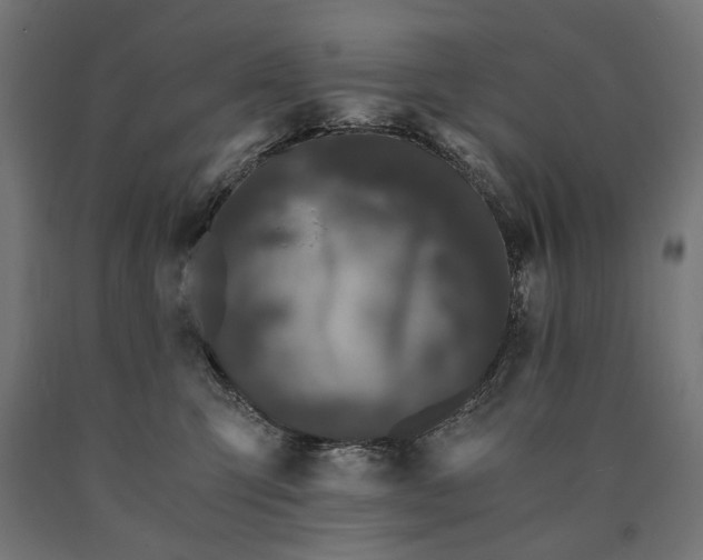 X0000090720423200708031505