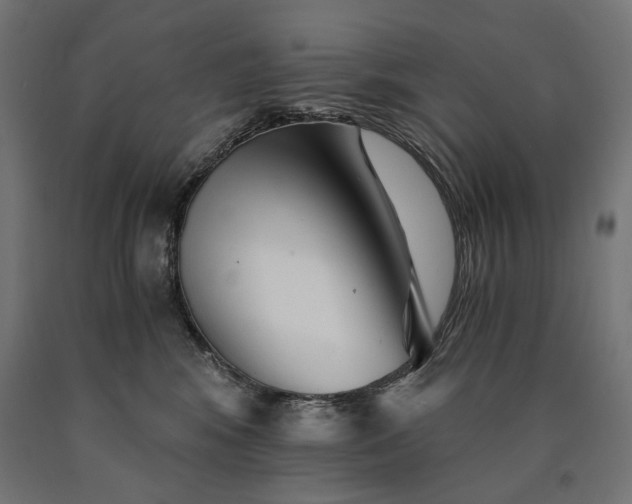 X0000090720424200708031505