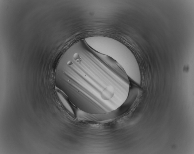 X0000090720425200708031505