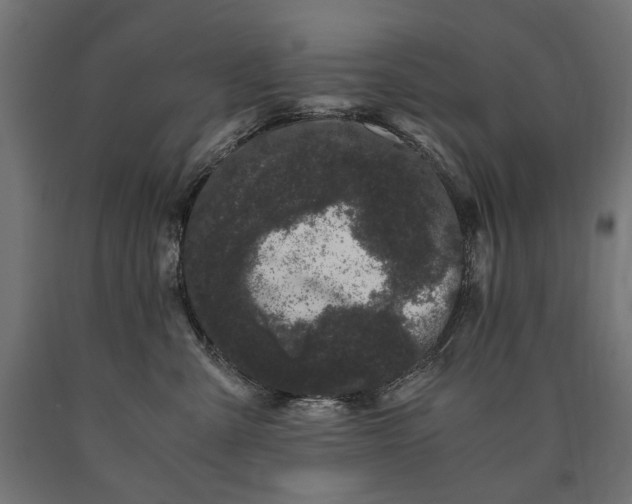 X0000090720427200708031505