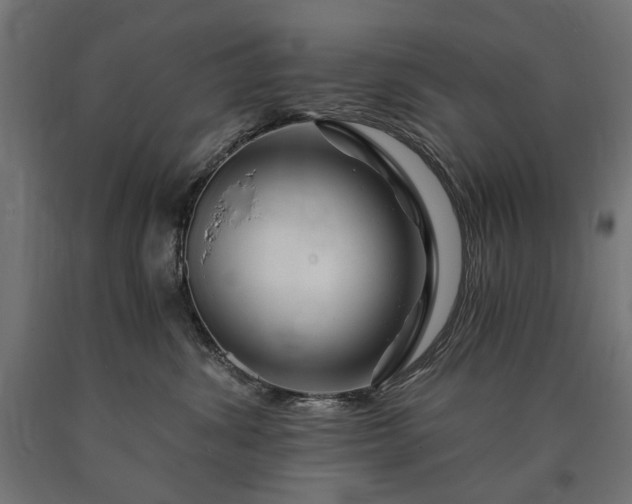 X0000090720428200708031505