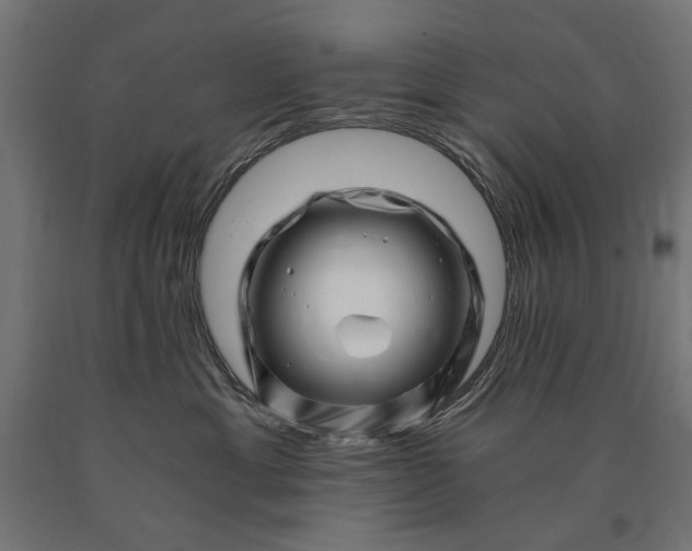X0000090720429200708031505