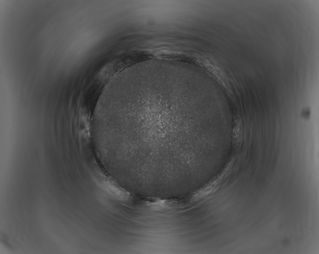 X0000090720430200708031504
