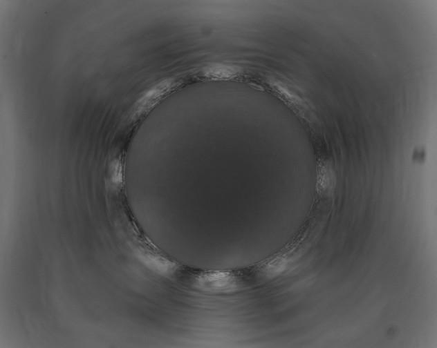 X0000090720431200708031504