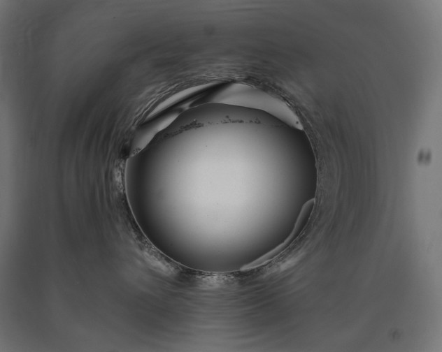 X0000090720432200708031504