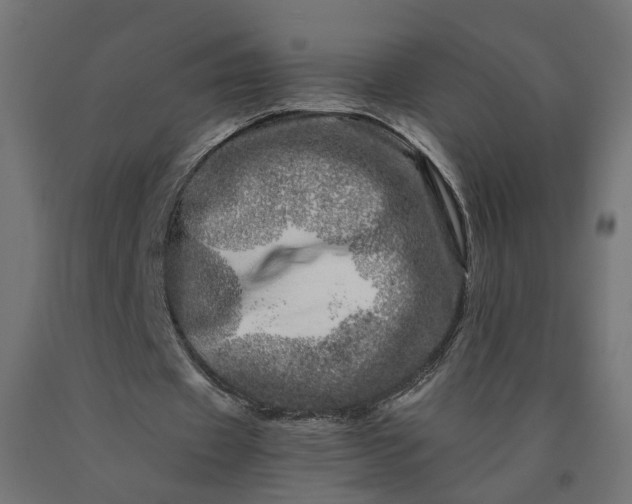 X0000090720433200708031504