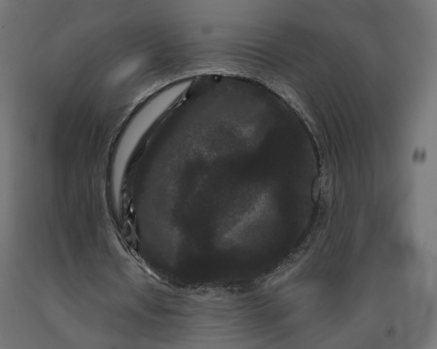 X0000090720434200708031504
