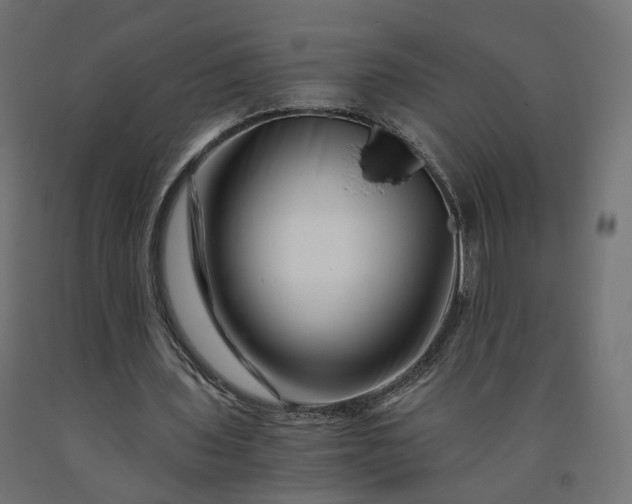 X0000090720435200708031504
