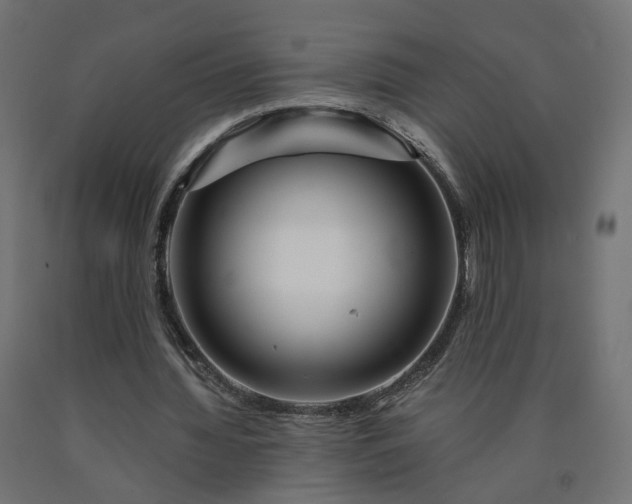 X0000090720436200708031504