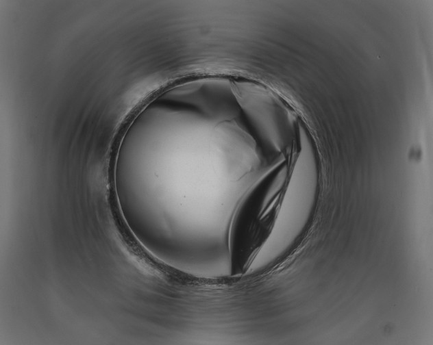 X0000090720438200708031504