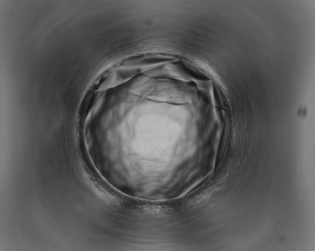 X0000090720439200708031504