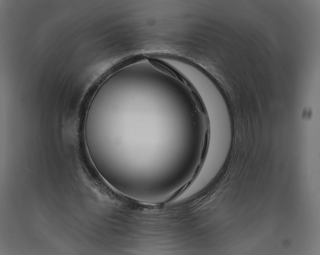 X0000090720440200708031504