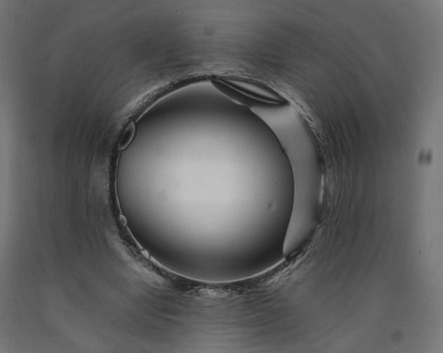 X0000090720442200708031504
