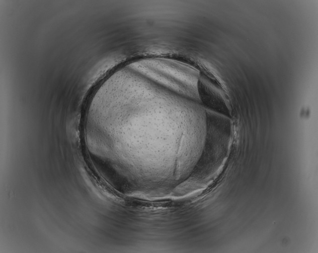 X0000090720443200708031504