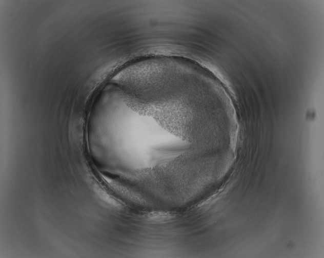 X0000090720445200708031504