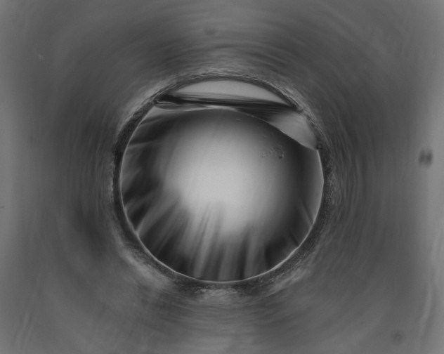 X0000090720446200708031504