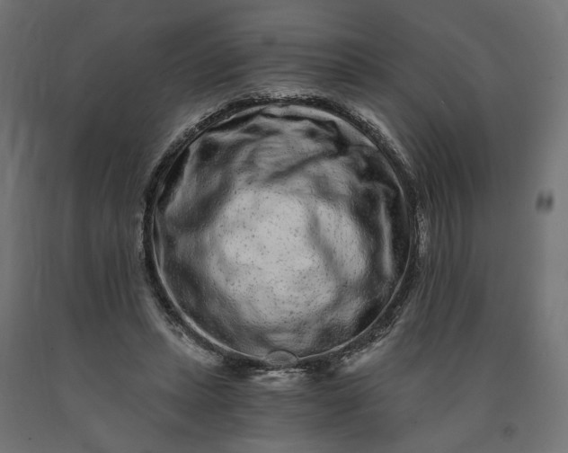 X0000090720447200708031504