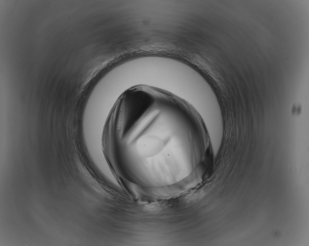 X0000090720448200708031504