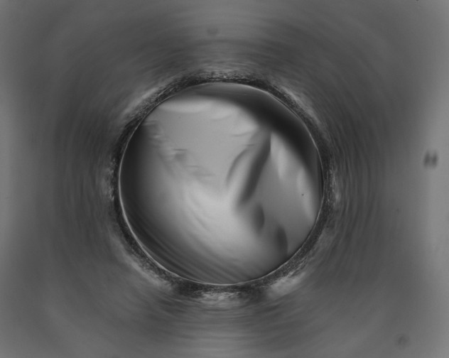 X0000090720450200708031504