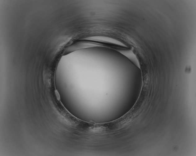 X0000090720452200708031504