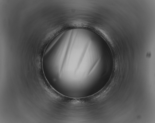 X0000090720453200708031504