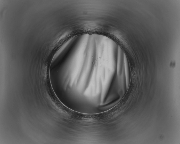 X0000090720454200708031504