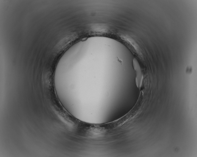 X0000090720455200708031504