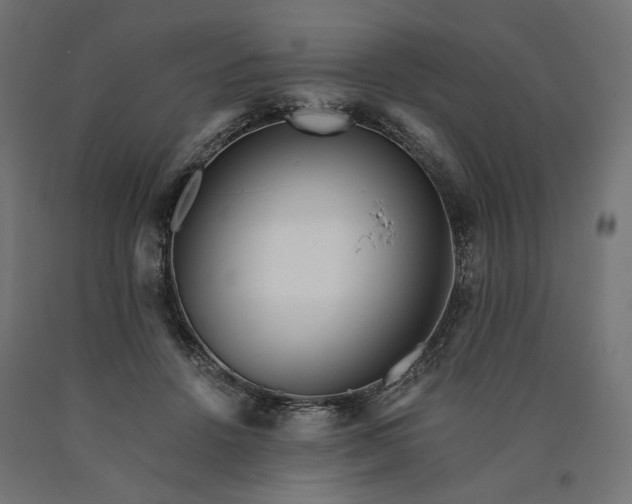 X0000090720456200708031504