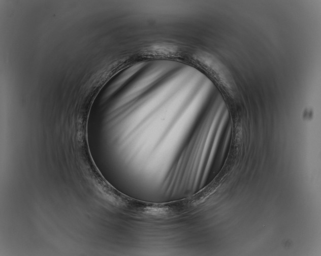 X0000090720457200708031504