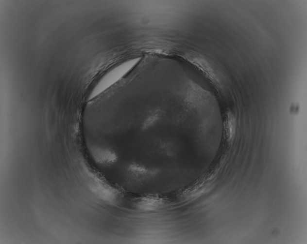 X0000090720458200708031504