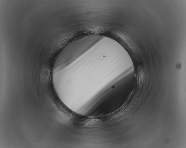 X0000090720459200708031504