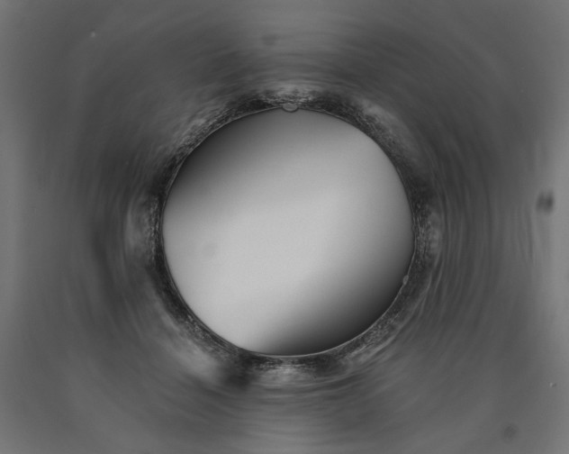 X0000090720460200708031504