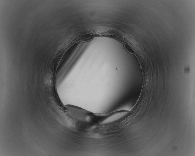 X0000090720461200708031504