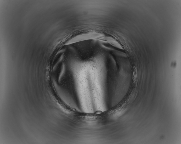 X0000090720462200708031504