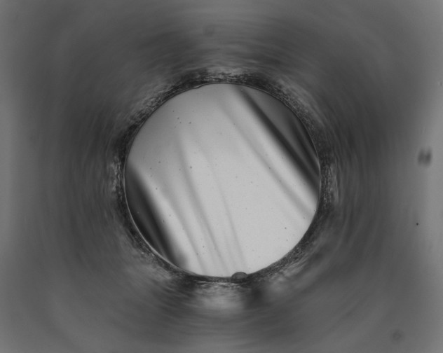 X0000090720463200708031504