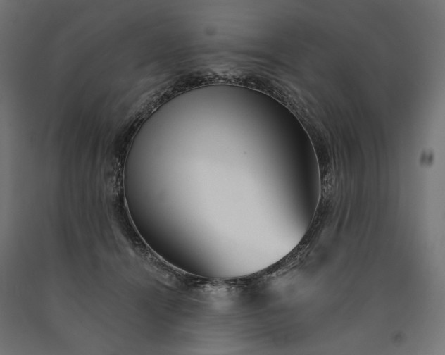 X0000090720464200708031504