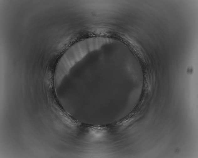 X0000090720465200708031504