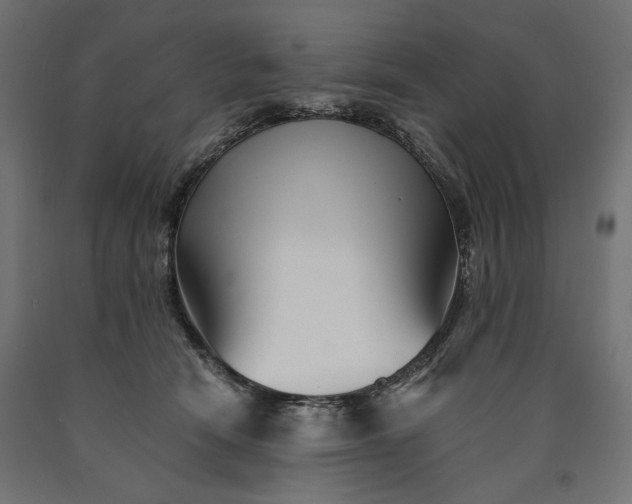 X0000090720466200708031504